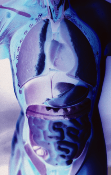 blue and purple xray of stomach